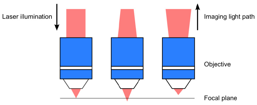 无限远校正物镜在成像过程中将平行光束聚焦到焦平面上的光点，反之亦然